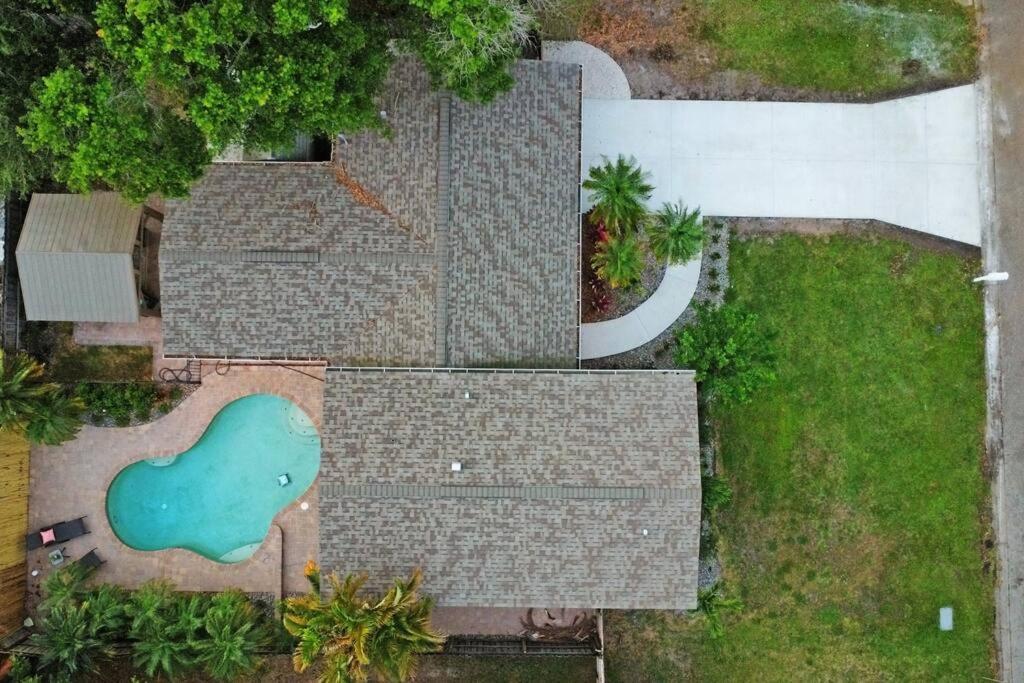 Palm Tree Paradise Tampa Pool Home Kültér fotó