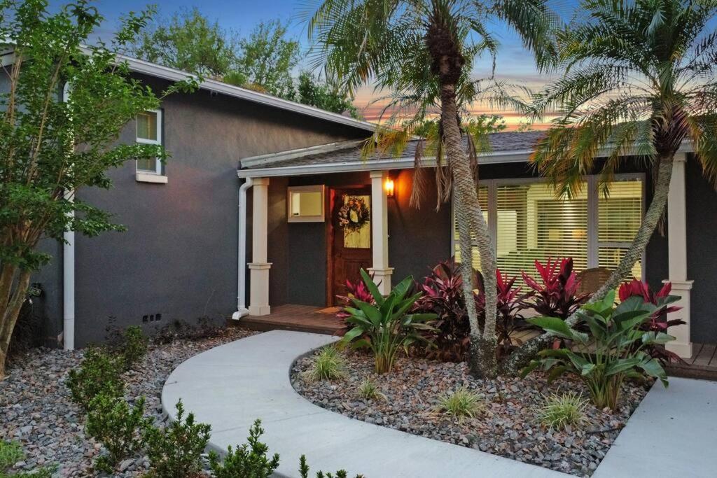 Palm Tree Paradise Tampa Pool Home Kültér fotó