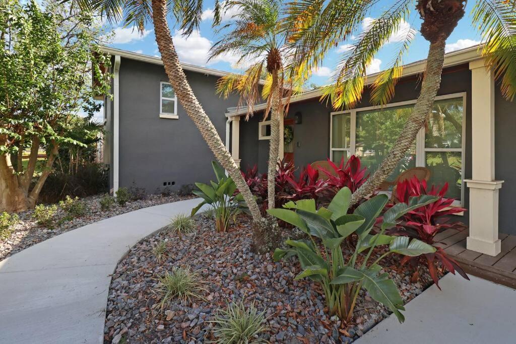 Palm Tree Paradise Tampa Pool Home Kültér fotó